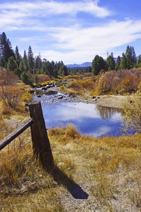 High Sierra Creek II