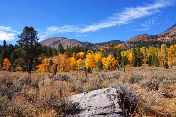 Sierra Autumn Afternoon