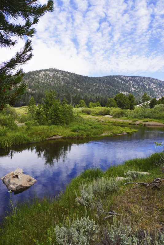 Creek Reflections