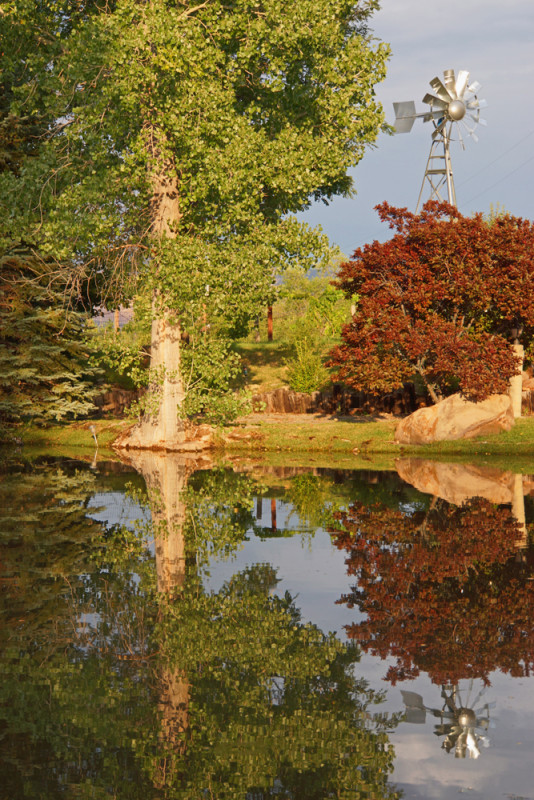 Windmill Reflection