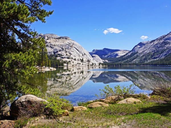 Alpine Reflections