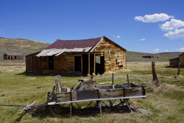 At Home in Bodie (e)