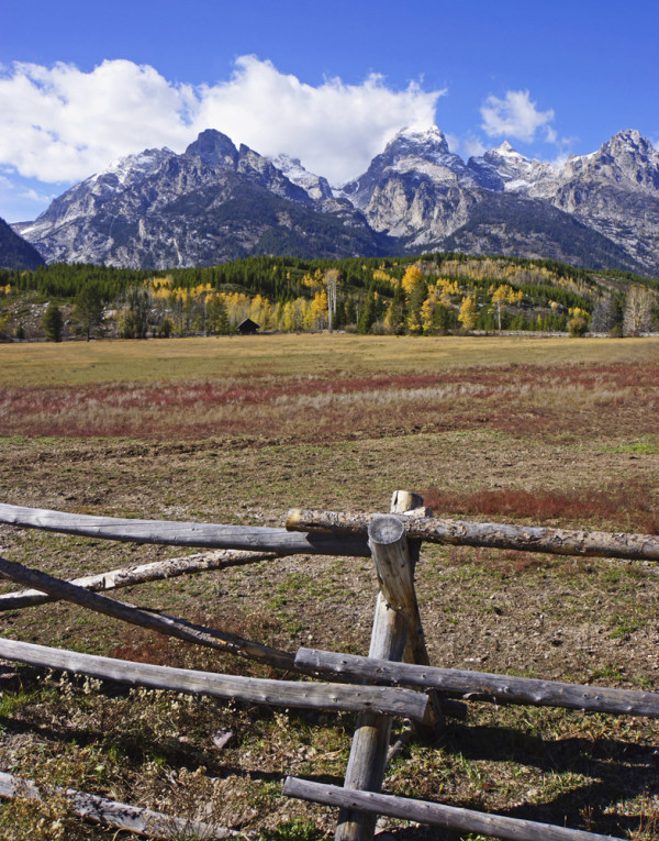 Autumn Pasture in the Grand Tetons