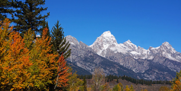 Autumn in the Grand Tetons