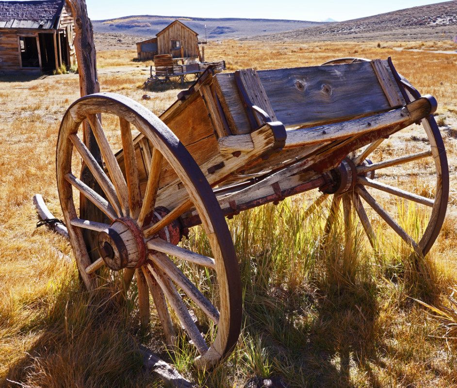 Bode Buckboard