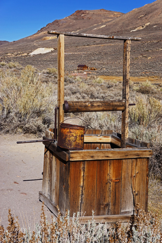 Bode Wishing Well