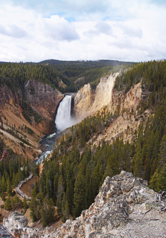 Lower Yellowstone Falls