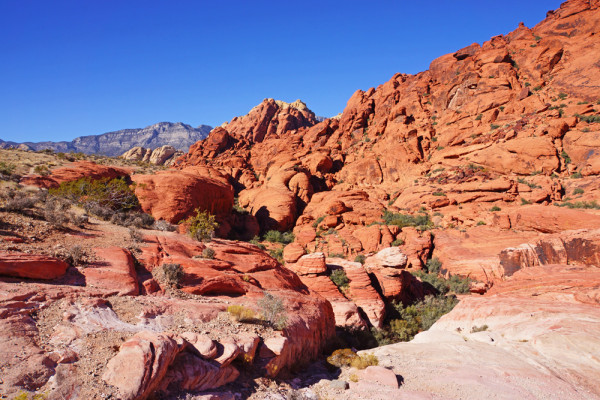 Red Rock Canyon IV