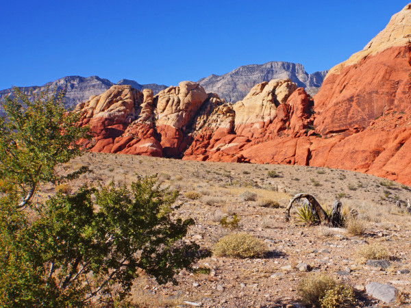 Red Rock Canyon V