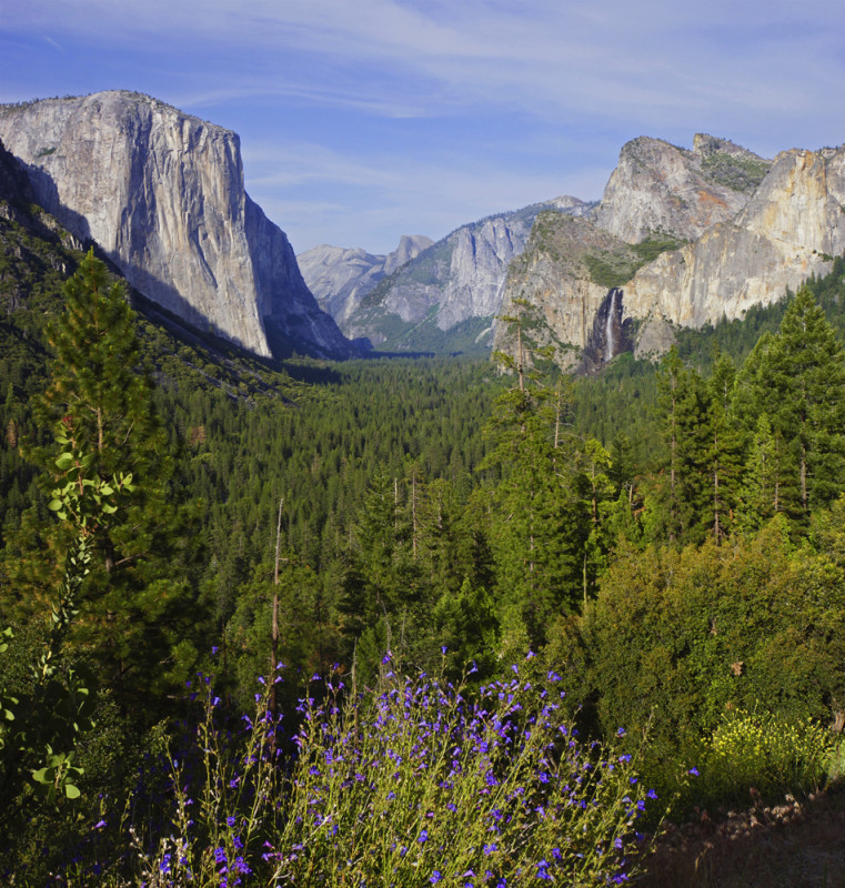 Springtime View of Yosemite