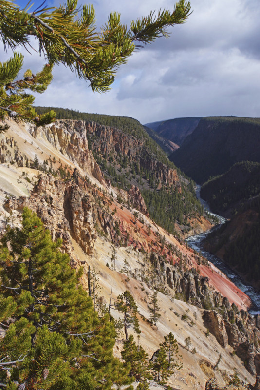 The Grand Canyon of Yellowstone