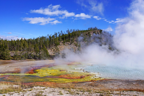 The Incredible Beauty of Yellowstone