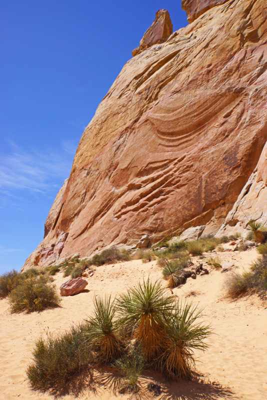 Valley of Fire I
