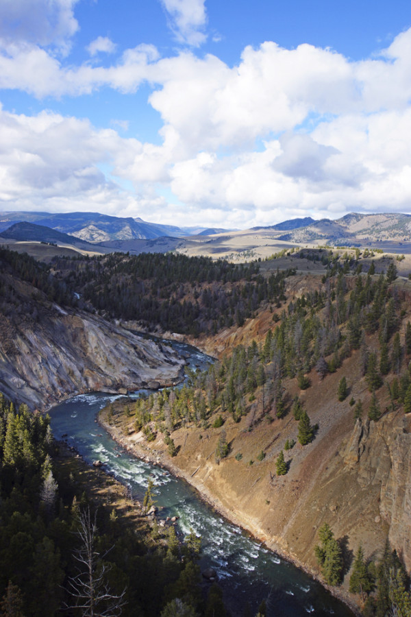 Yellowstone Rapids