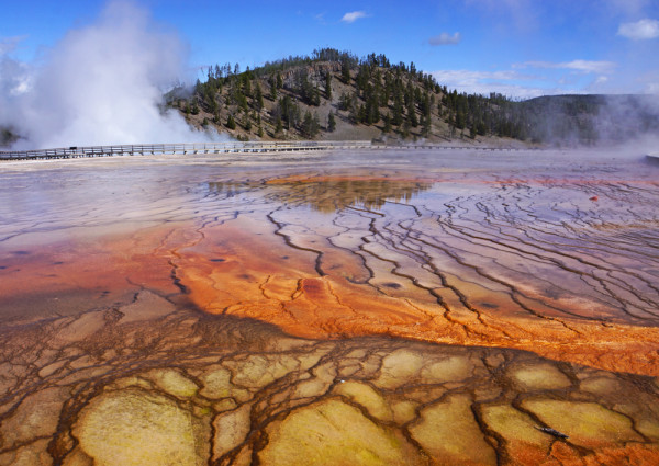 Yellowstone's Magnificent Colors