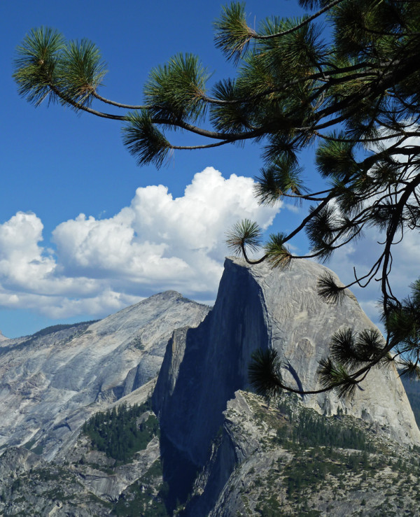 Yosemite's Half Dome
