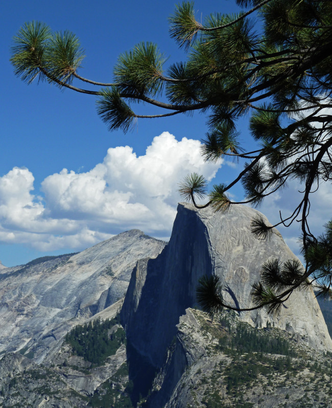 Yosemite's Half Dome