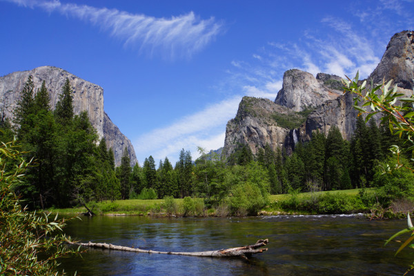Yosemite's Merced River II