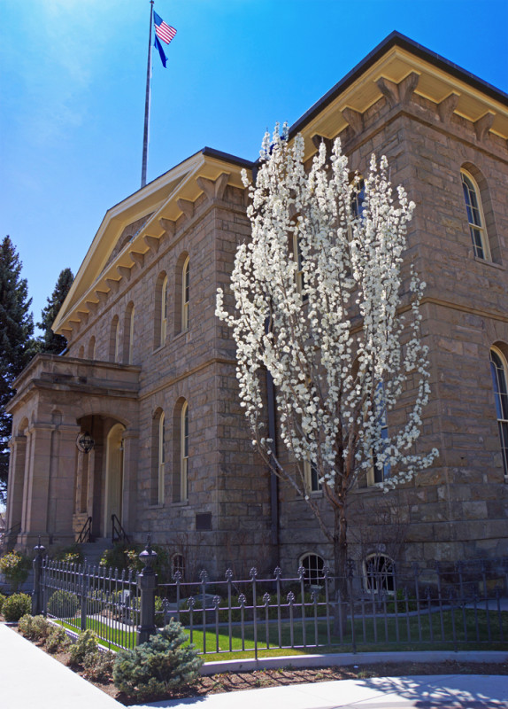 The Carson City Mint