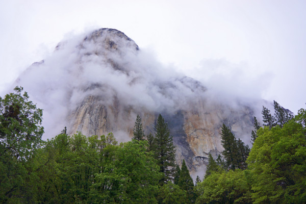 A Spring Storm in Yosemite