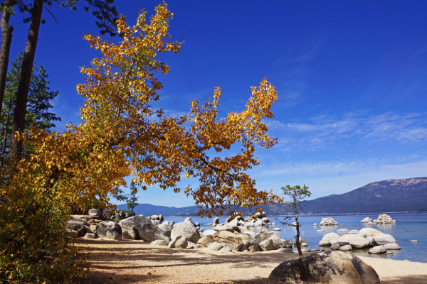 Autumn in Lake Tahoe