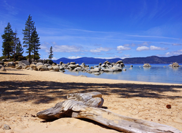 Sand Harbor Driftwood II