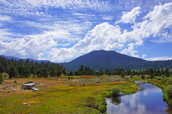 Sierra Reflections