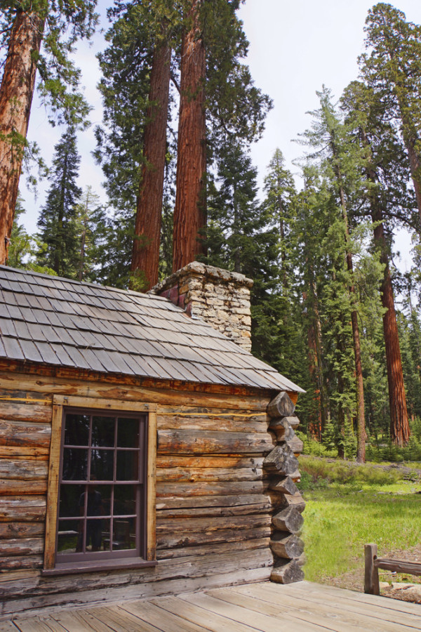 The Galen Clark Cabin in the Mariposa Grove