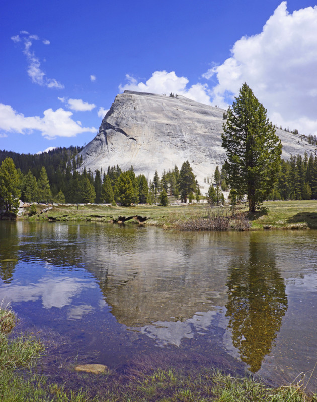 Towalame Reflections