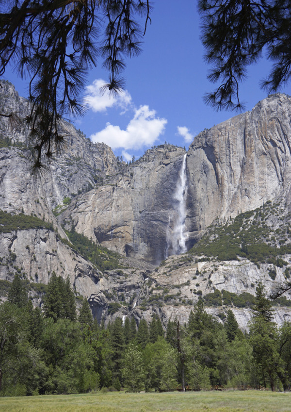 Upper and Lower Yosemite Falls V