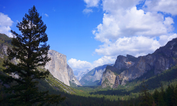 Yosemite Afternoon Vista