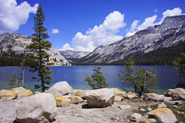 Yosemite's Tenaya Lake