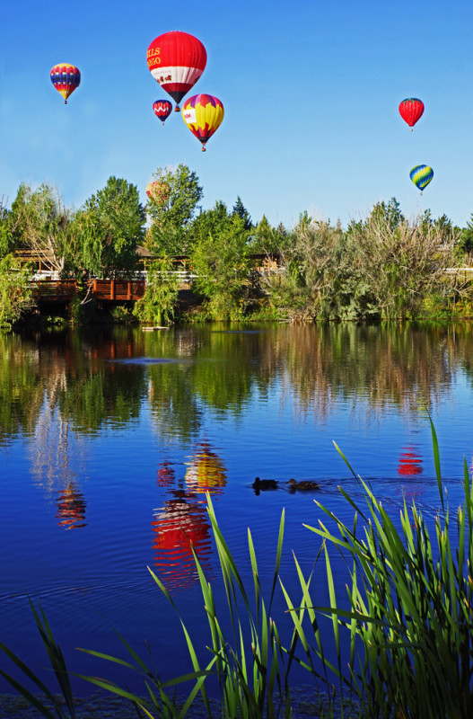Balloon Reflections