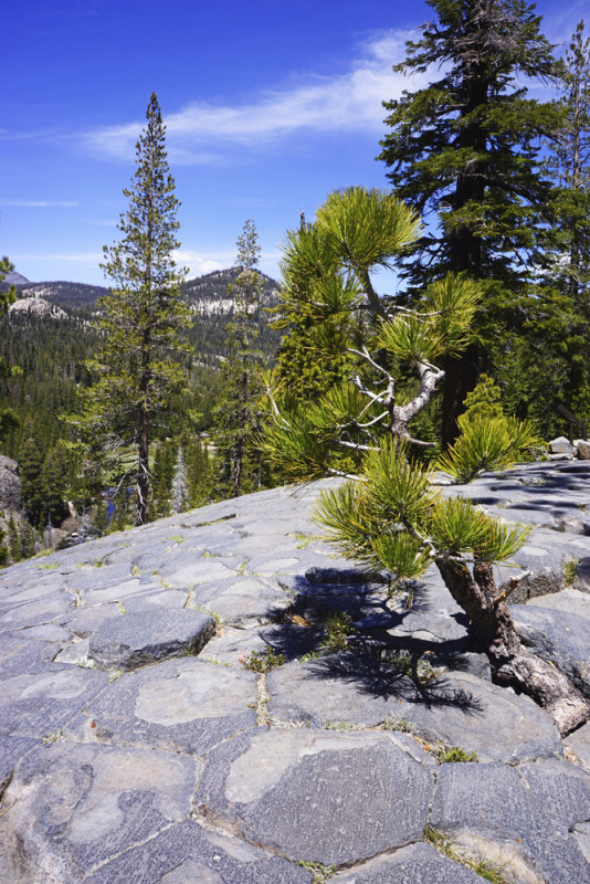 The Top of the Devil's Post Pile