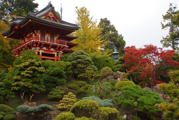 San Francisco's Japanese Gardens