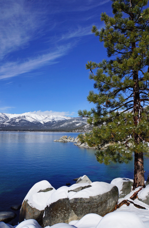 Tahoe's Calm Waters