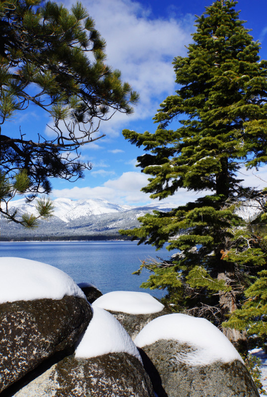 Tahoe's North Shore