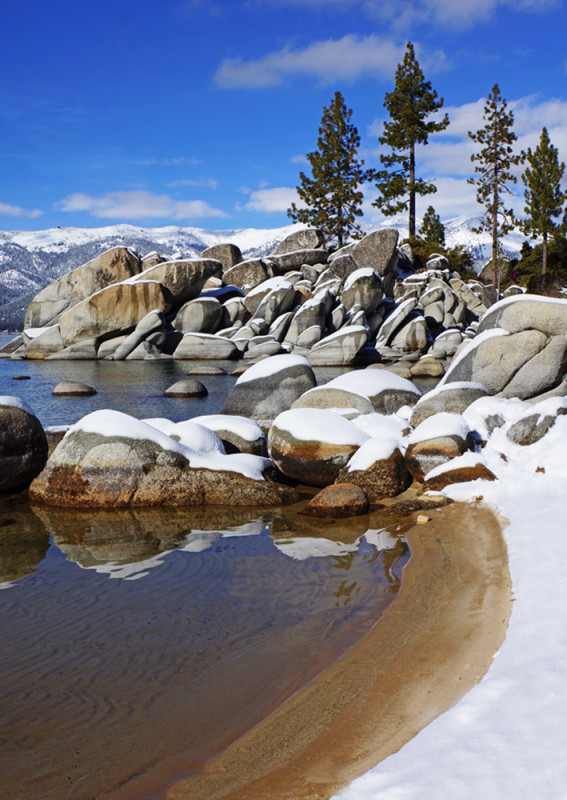 Winter Reflections
