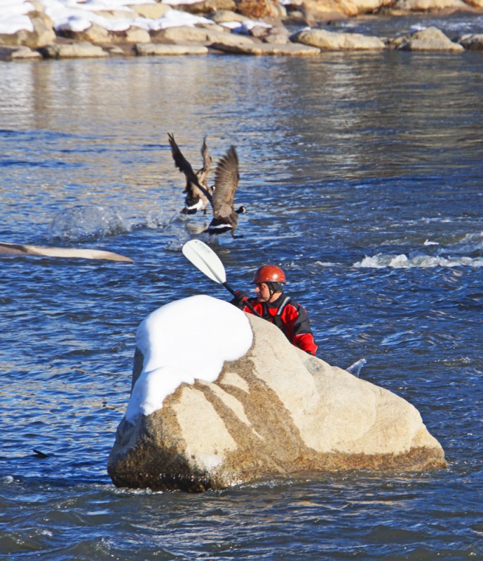 Sharing the Truckee River
