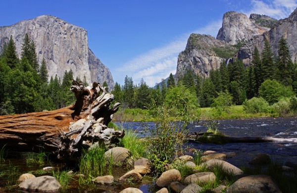Yosemite's Merced River III