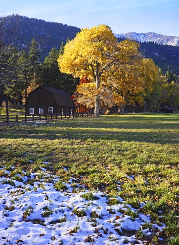 Autumn Snow