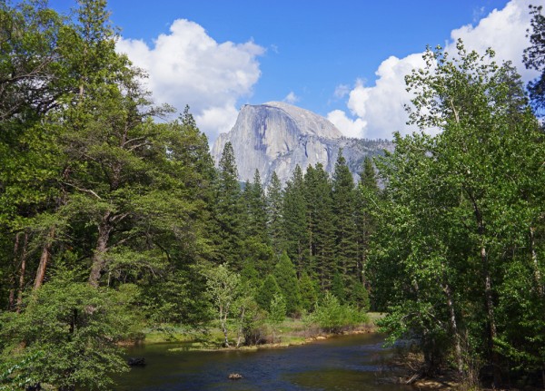 Half Dome Overlooking the Merced River