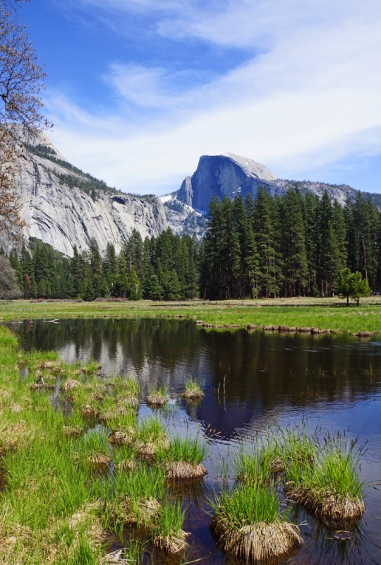 Half Dome Reflection III