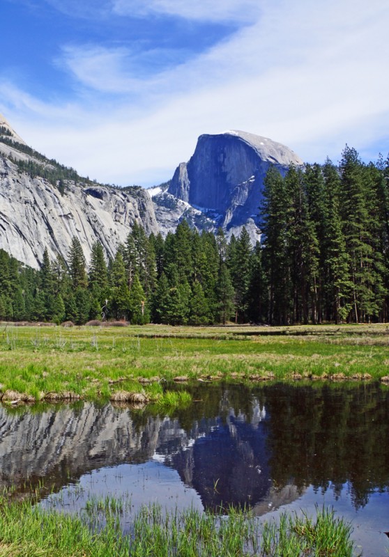 Half Dome Reflection