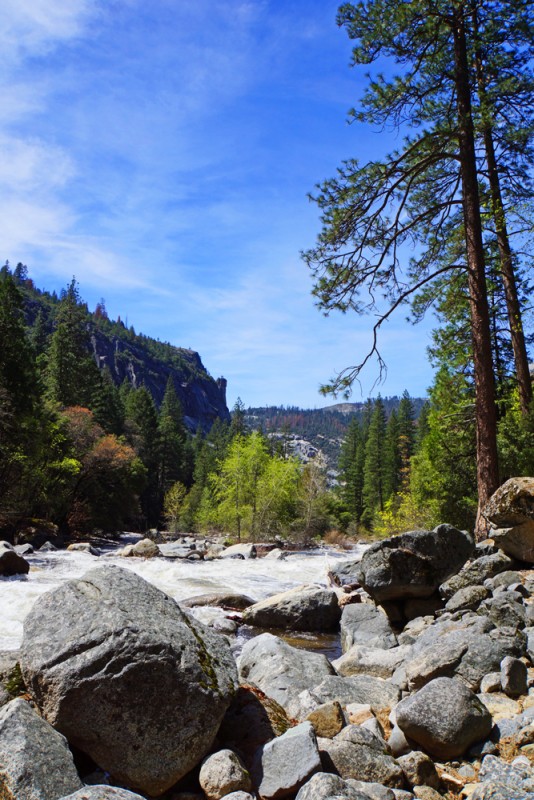 Merced River II