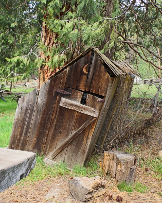 Clark's Station Outhouse, Wawona
