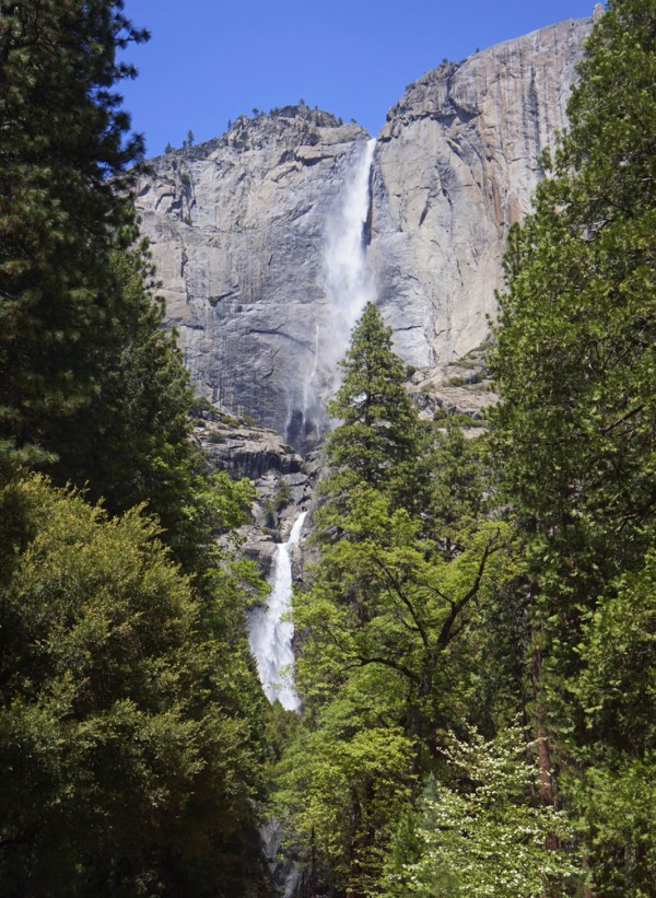 Upper & Lower Yosemite Falls II