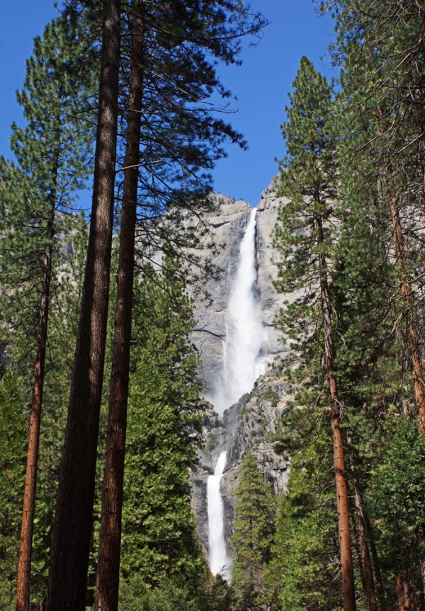 Upper & Lower Yosemite Falls III