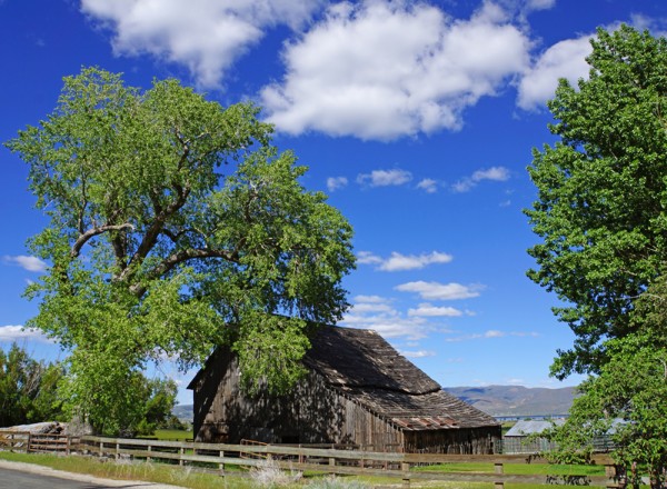 Ancient Nevada Barn