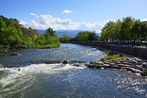Springtime Along the Truckee River